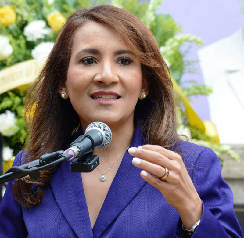 Vicepresidenta del PLD advierte la estadística oficial omite un 57% de los feminicidios